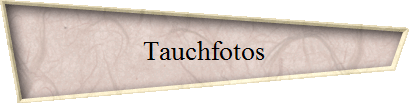 Tauchfotos